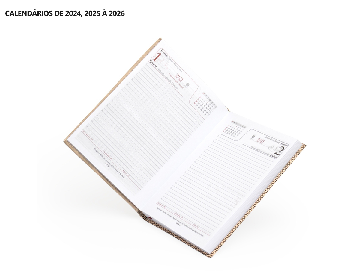 Agenda diária 2025 de couro sintético. Contém fita de cetim marca página, dados pessoais, calendário de 2024, 2025 à 2026, mapa do Brasil, mapa-múndi, índice telefônico e planejamento.