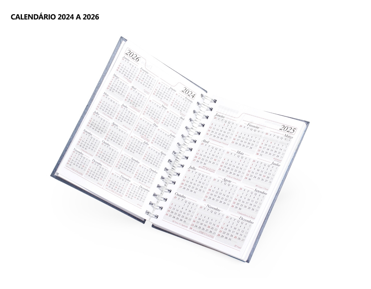 Agenda diária 2025 metalizada em Percalux com wire-o metálico. Possui "bolso" plástico atrás da capa, páginas de dados pessoais, calendário 2024 a 2026, mapa do Brasil, mapa-múndi, índice telefônico e planejamento.