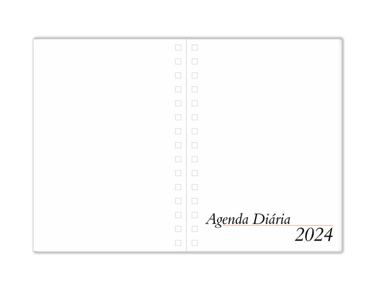 Agenda diária metalizada com detalhe colorido em diagonal. Possui espiral, "bolso" plástico atrás da capa, dados pessoais, calendários 2023 à 2025, endereços da internet, mapa do Brasil, mapa mundi, índice telefônico e planejamento.
